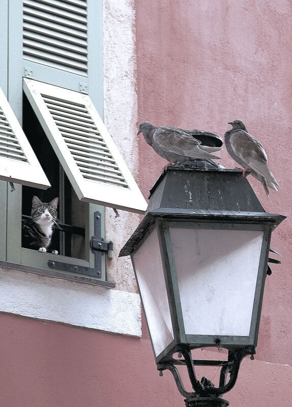 意甲球队基于GPS数据优化跑动负荷及战术布置,意甲场均跑动距离